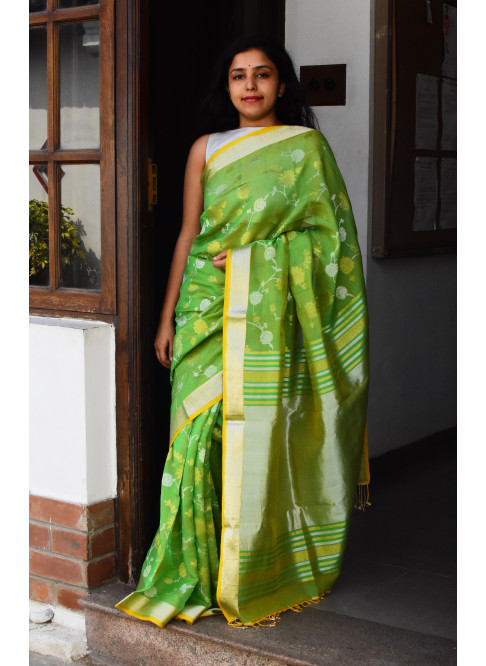 Green, Handwoven Organic Cotton, Textured Weave , Jacquard Handpicked, Festive Wear, Jari Saree